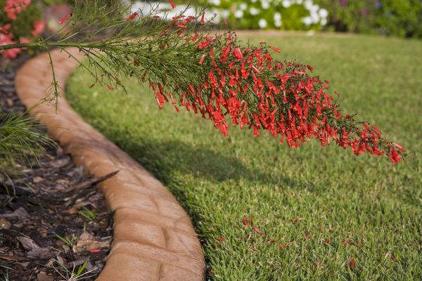 Brick Edging in Longview