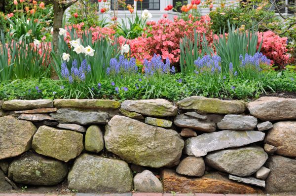 Stone Wall Hardscaping in Longview