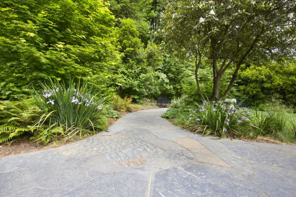 Stone Hardscape Service in Longview